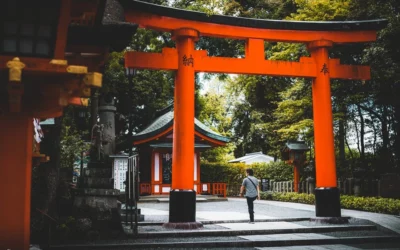 What is Torii Gates: Definition, Meaning and Types